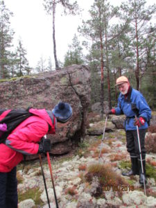 kasvuvoimaa-rapakivesta-16