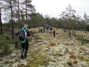 kultavuoren-jakalikossa-16